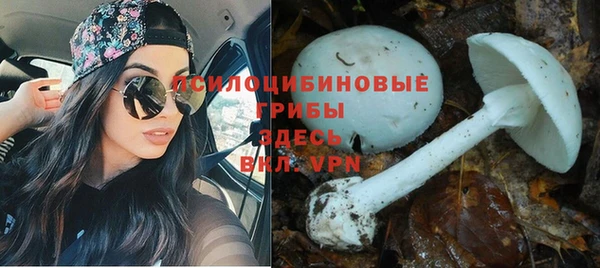 ALPHA PVP Белокуриха